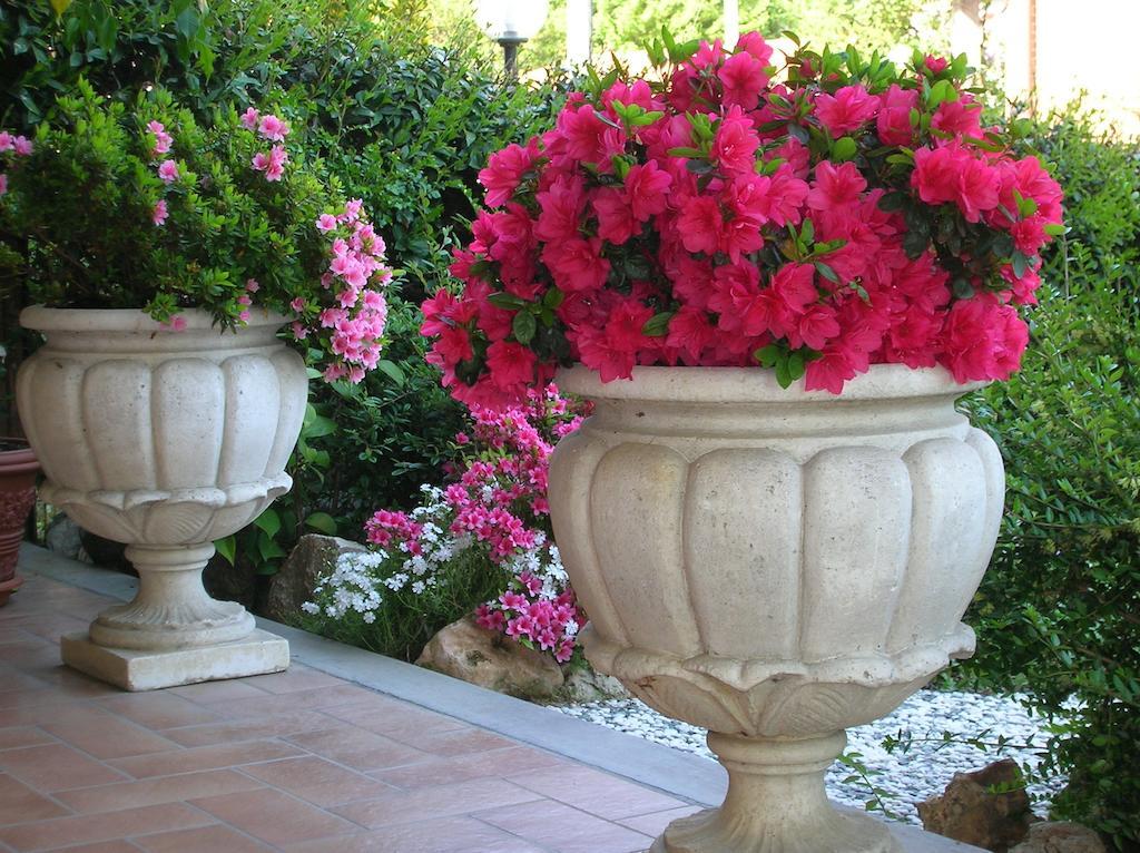 B&B Anna Moncalieri Exterior photo